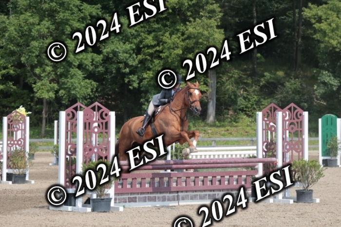 105SC1_1547