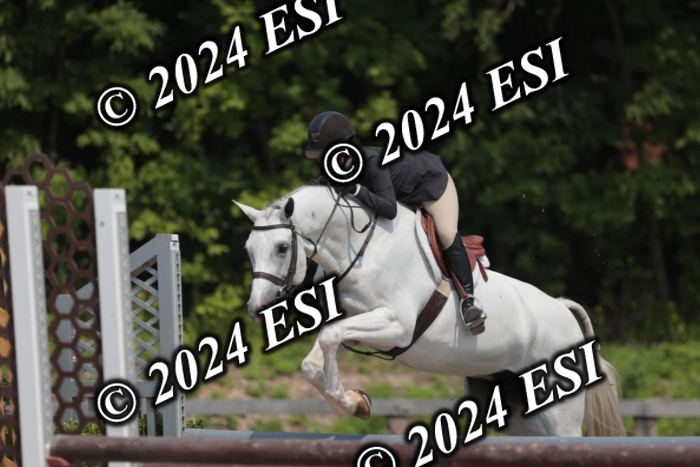 105SC1_1561