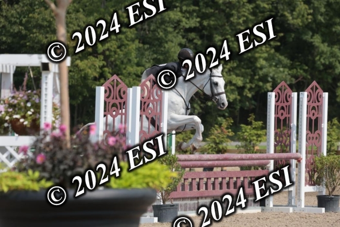 105SC1_1575