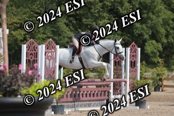 105SC1_1578