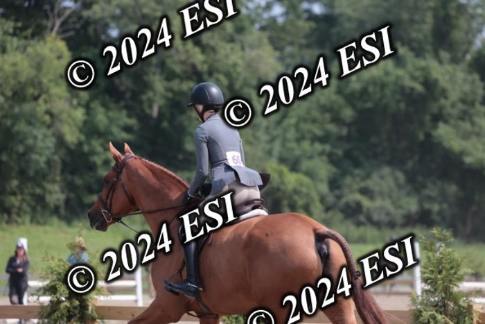 105SC1_1593