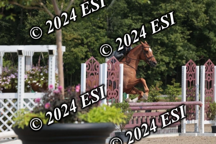 105SC1_1594