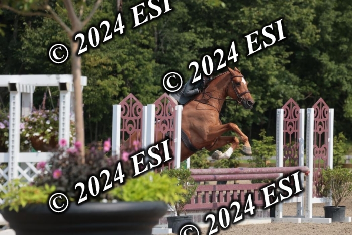 105SC1_1595
