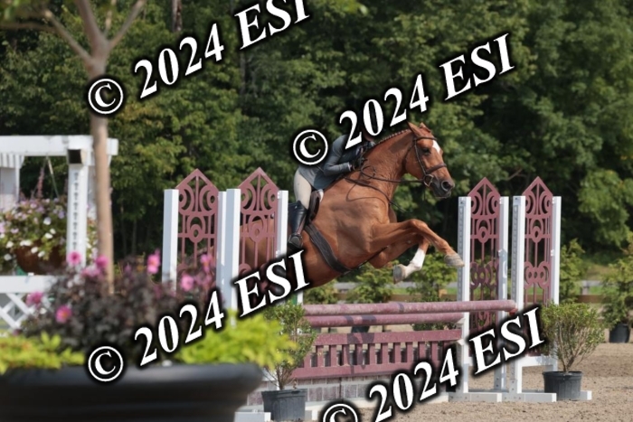 105SC1_1596