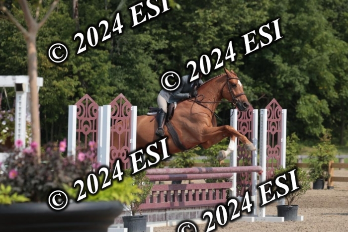 105SC1_1597