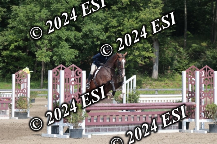 105SC1_1617