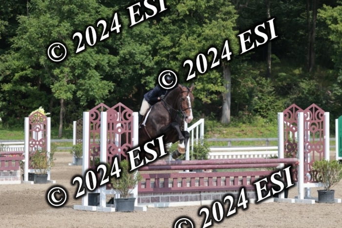 105SC1_1661