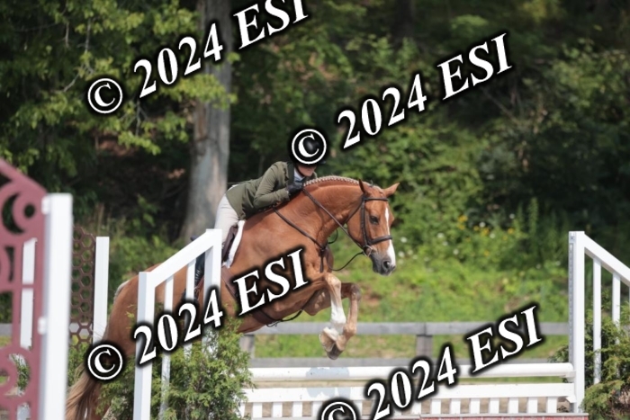 105SC1_1666