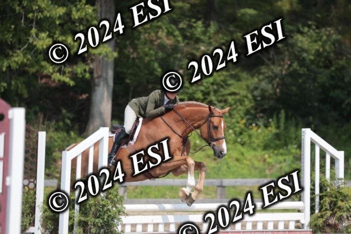 105SC1_1667