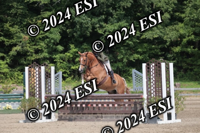 105SC1_1676