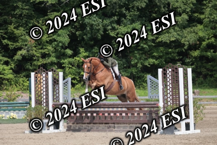 105SC1_1677