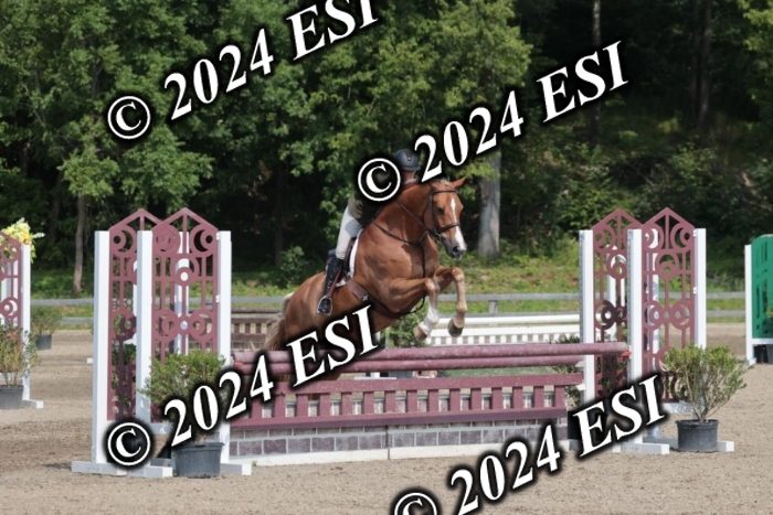 105SC1_1682