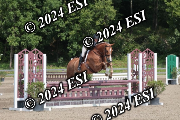 105SC1_1684