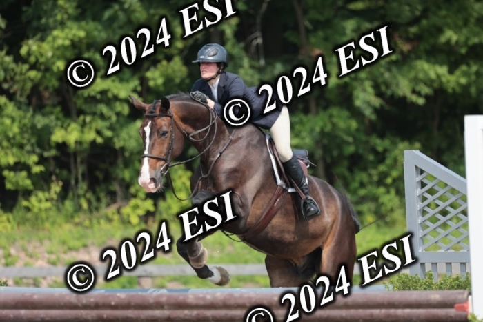105SC1_1694