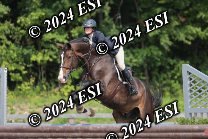 105SC1_1695