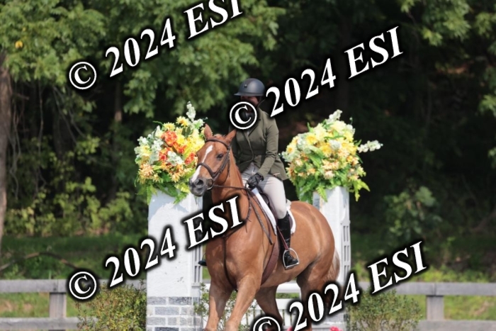 105SC1_1717