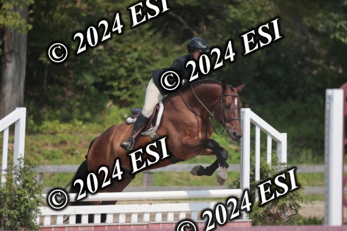 105SC1_1768