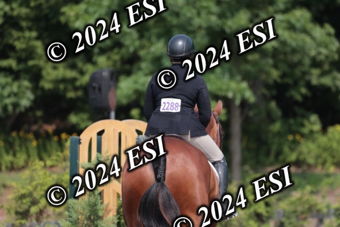 105SC1_1787
