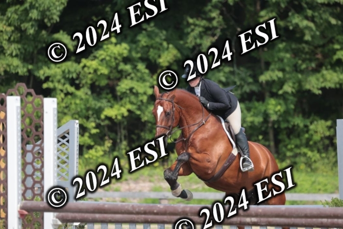 105SC1_1828