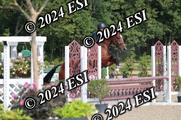 105SC1_2015