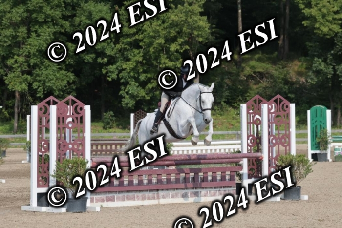 105SC1_2081