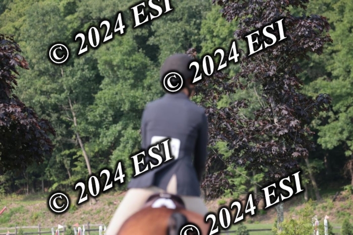105SC1_2091