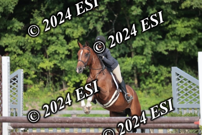 105SC1_2131