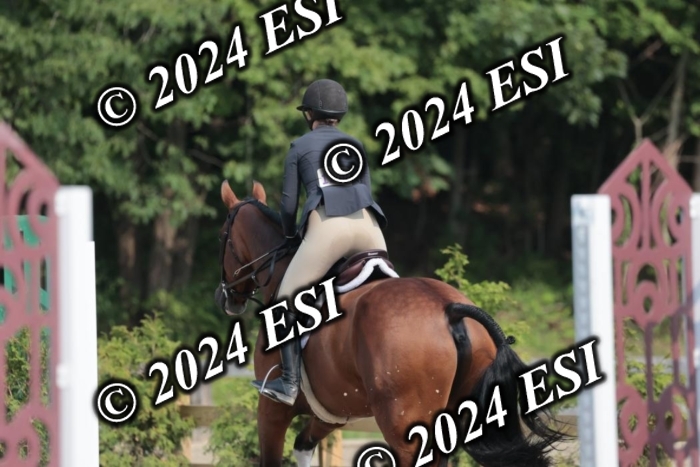 105SC1_2133