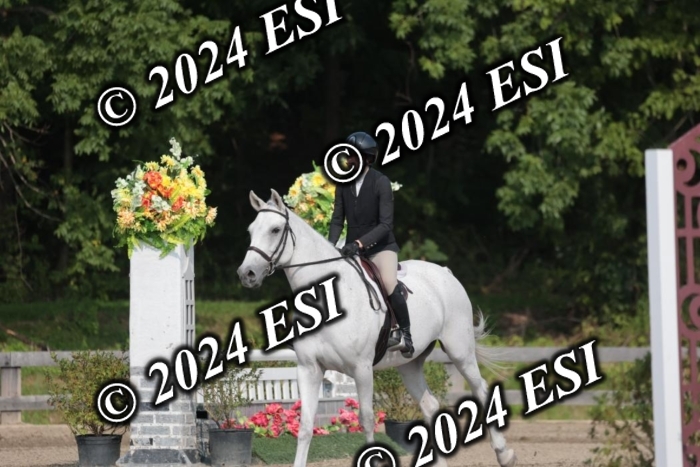 105SC1_2155