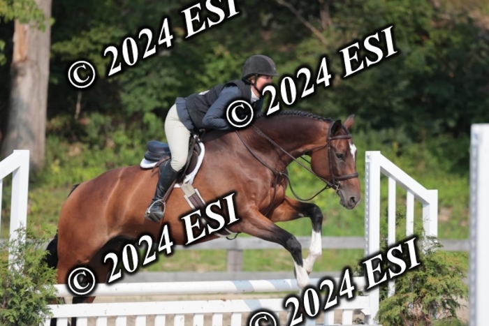 105SC1_2181