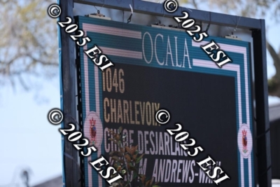 040DI2_0476