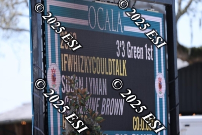 040DI2_0599