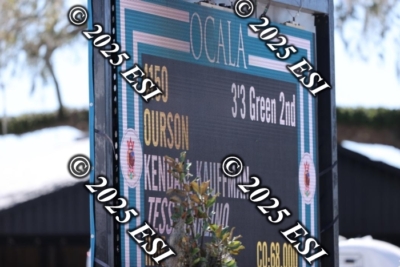 040DI2_0678