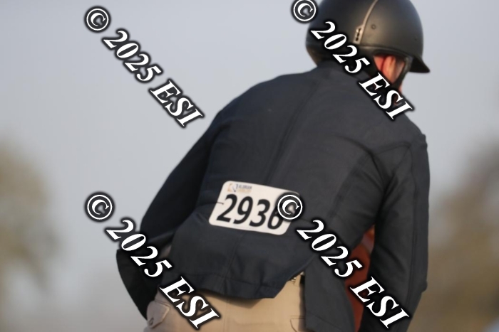 676AF2I1743