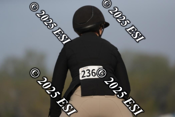 676AF2I1776