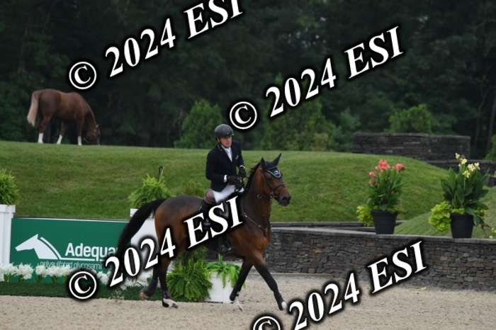 268DK1_6353