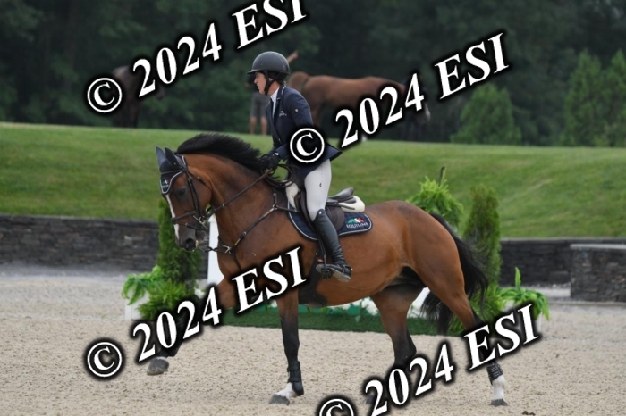 268DK1_6365