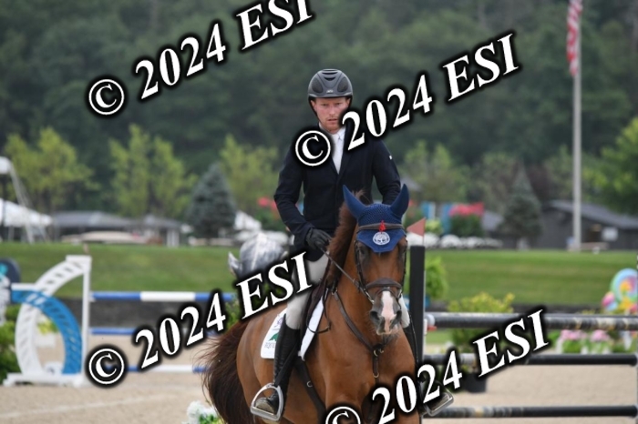 268DK1_6372-1