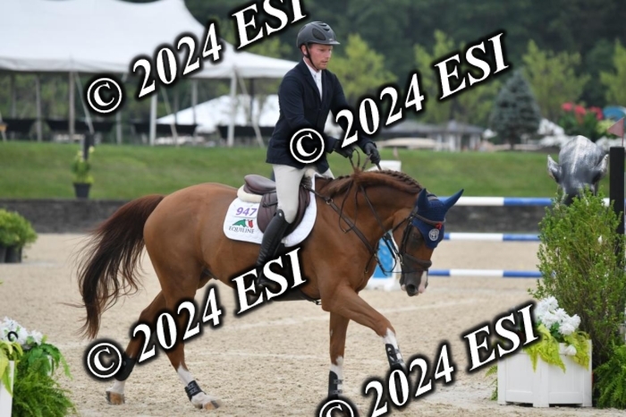 268DK1_6377-1