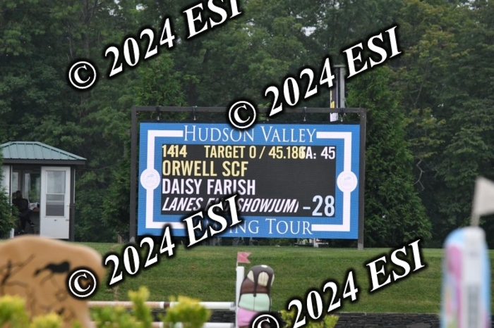 268DK1_6379-1