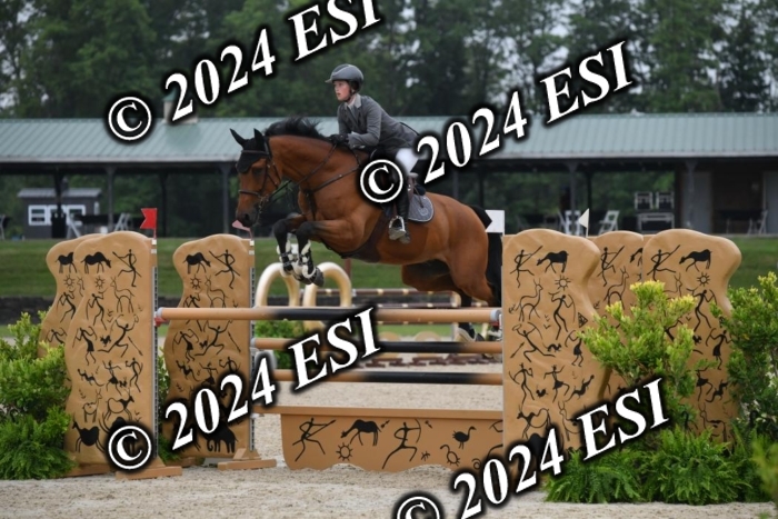 268DK1_6381-1