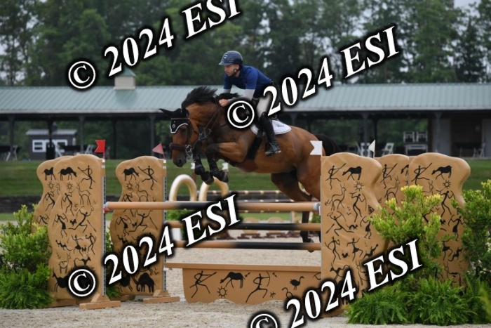 268DK1_6384-1
