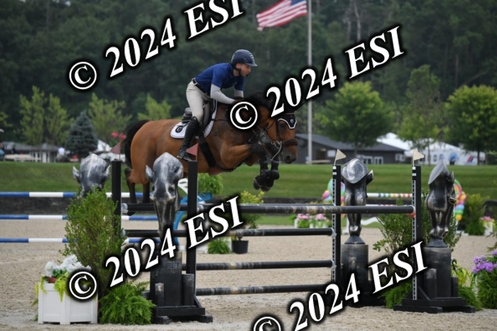 268DK1_6386-1