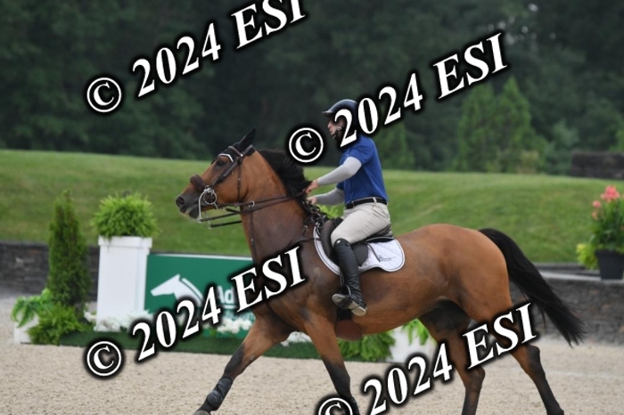 268DK1_6387-1