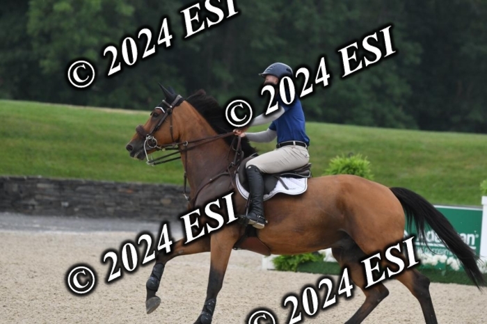 268DK1_6388-1