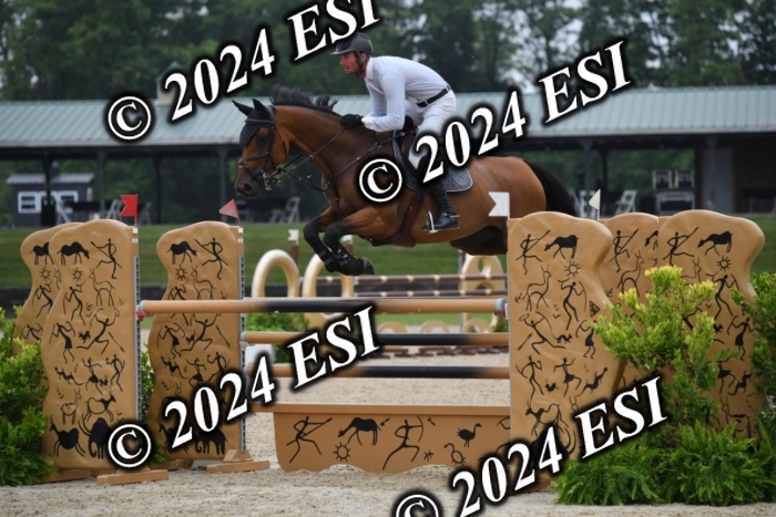 268DK1_6391-1