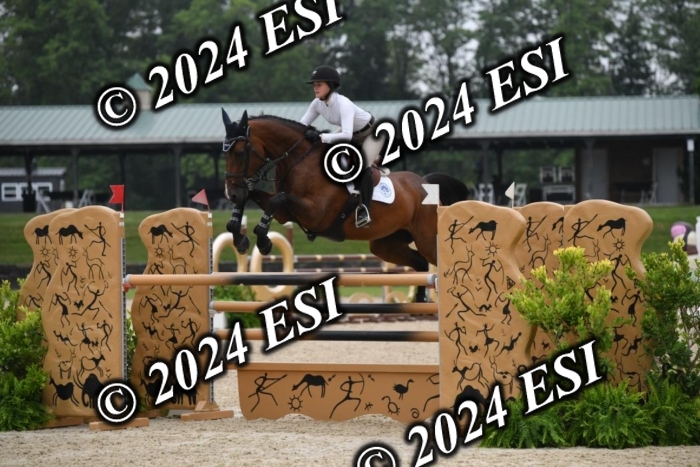 268DK1_6397-1