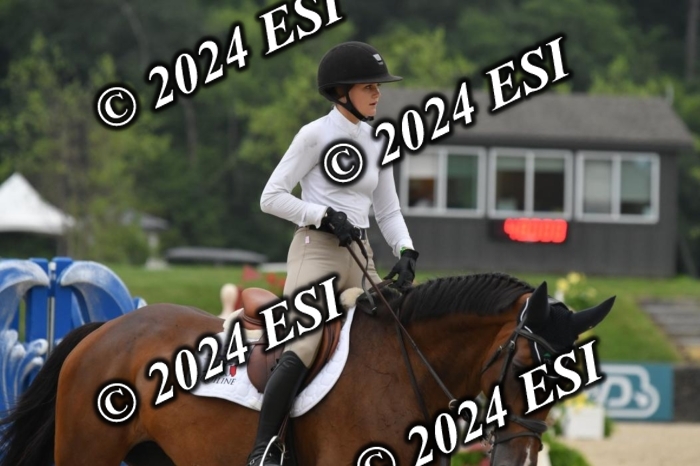 268DK1_6398-1