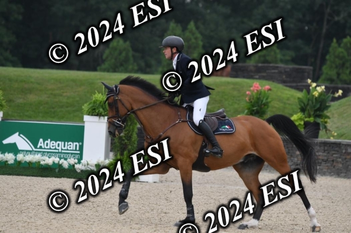 268DK1_6407-1