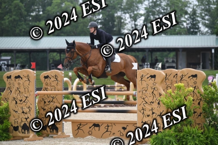 268DK1_6414-1